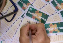 Quina: apostas no DF acertam quatro números e levam R$ 11,1 mil
