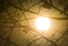 Baixa umidade e calorão: confira a previsão do tempo para semana no DF