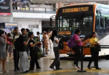 Transporte público gratuito terá esquema especial no segundo turno