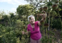 Grupos de guardiões do Cerrado protagonizam a conservação da natureza