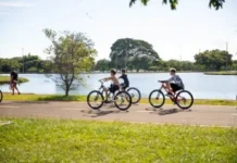 Parque da Cidade completa 48 anos como símbolo de lazer em Brasília